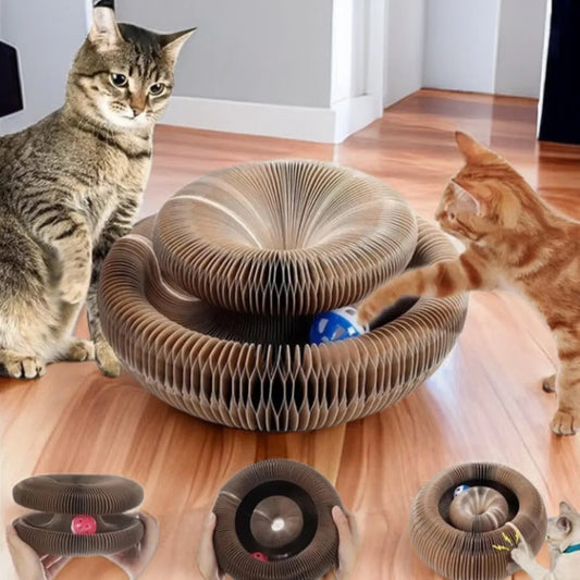Ultimate Cat Fun Board